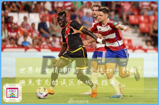 世界杯竞猜app的安全性如何判断？避免常见的误区和坑点指南