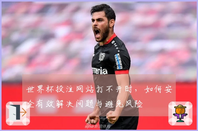 世界杯投注网站打不开时，如何安全有效解决问题与避免风险