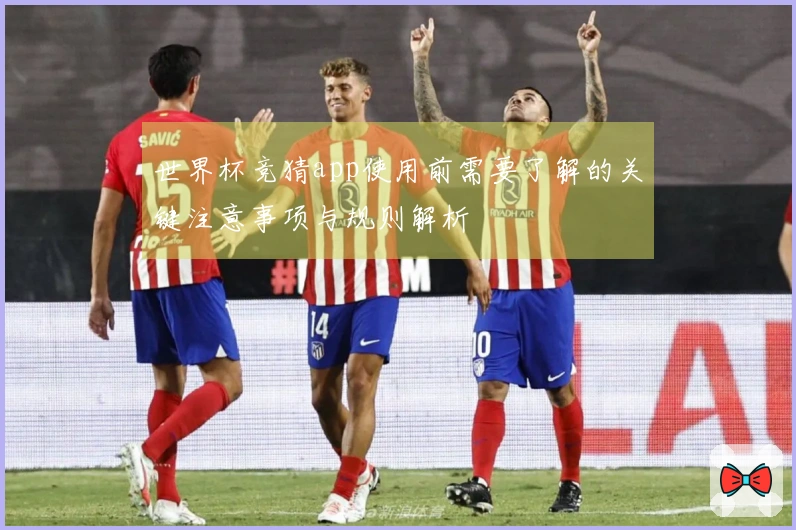 世界杯竞猜app使用前需要了解的关键注意事项与规则解析